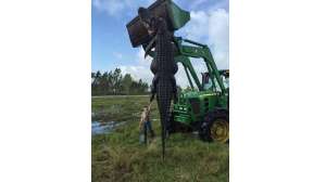 Screen Shot 2016 04 06 at 10 36 15 AM