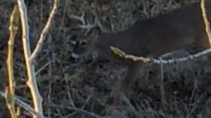 IMG 3509 e1447103535827