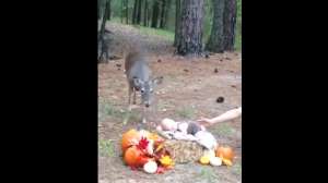 Screen Shot 2015 11 03 at 9 37 38 AM