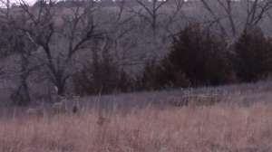 Screen Shot 2015 10 15 at 3 21 40 PM