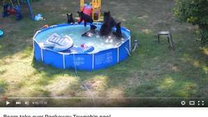 Screen Shot 2015 08 21 at 2 22 53 PM