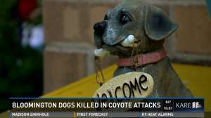 Screen Shot 2015 08 19 at 4 01 40 PM