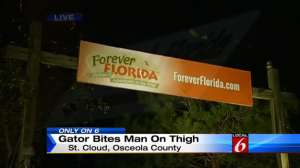 Screen Shot 2015 08 05 at 2 40 13 PM