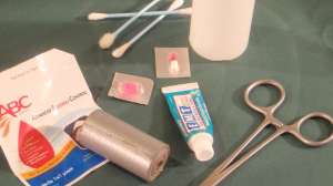 PB020040 181003 154959