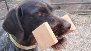 P5050005 181004 084605