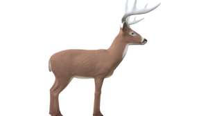 WPC Data Blacks Micro Sites Rinehart Targets Booner Buck Profile 181003 155327