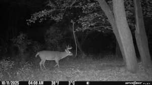 Elliott trail cam sharp