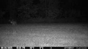 Flex Dark flash range example