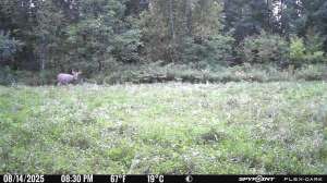 Flex Dark detection daylight