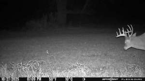 Flex Dark trigger time