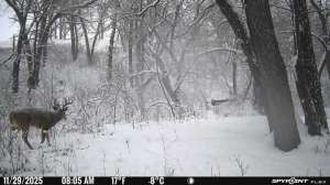 Spypoint weather result