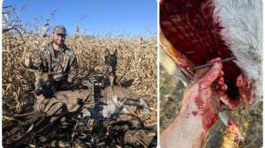 Web collage Tom Juliet and Stern with black bear