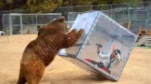 Screen Shot 2015 07 21 at 10 45 11 AM 181010 155100