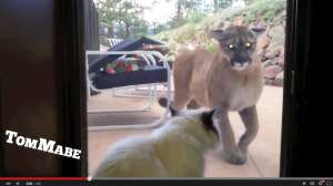 Screen Shot 2015 06 25 at 8 56 02 AM 181010 155055