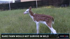 Screen Shot 2015 06 05 at 4 46 34 PM 181010 155049