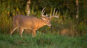 27907883 1883907378340121 5906856358351692297 o