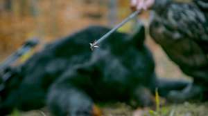 28424516 10156081878065786 1200561873611536485 o