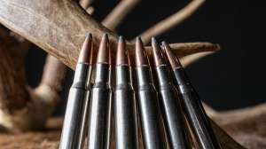 28515911 1703047613067186 2003576688077818498 o