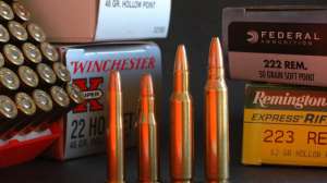 2 Hor Bee222 3 181003 162135