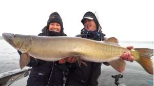 30 pound muskie November