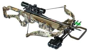 308 SHORT 300dpi PNG cutout