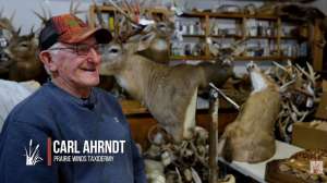 Prairie Winds Taxidermy