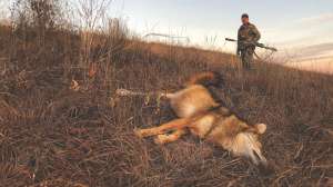 Lessons Learned Skills Acquired 3