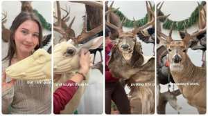 Ashley Eve deer mount video