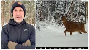 Deer harsh winter video