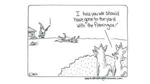 Gnome Alone Scattered Thoughts Feb 2025