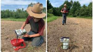 Collage food plot No 3 planting