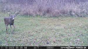 Big Brow 8 resize 11 18