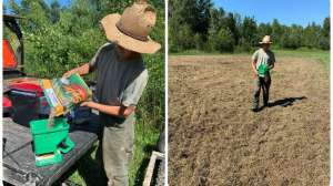 Simply Scatter pour collage