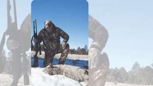 Killer Coyote Calling Sequences COVER