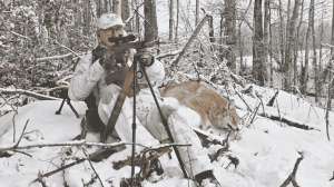 When to Shoot SNOW