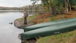 BWCA1 web
