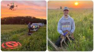 Fawn study with drones