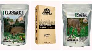 Todds three favorite blends