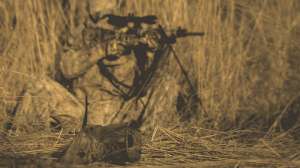 Killer Coyote Calling Strategies 3