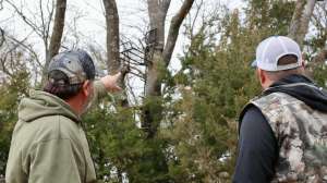 Wed Setting treestands