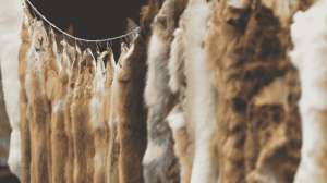 The Tradition of Fur