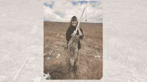 Hunting the American Badger 3
