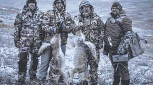 The Last Stand Coyote Class Does Online Training Translate to More Fur
