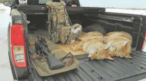 Setting up a Vehicle for Hunting Success 3