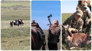 Stalking pronghorn behind a horse
