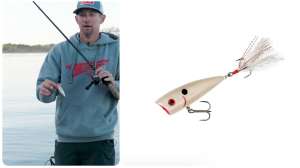 September bass topwater shade