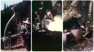Fred Bear elk hunt 1950s