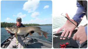 Must have tools for toothy fish