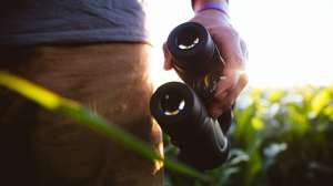 34722889 1588622407932563 2127863137880244224 o