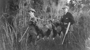 3a41354r e1539035668876